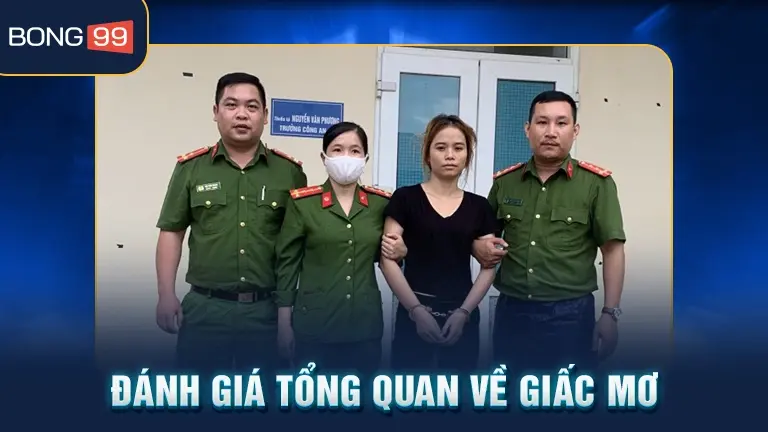 Đánh giá tổng quan giấc mơ