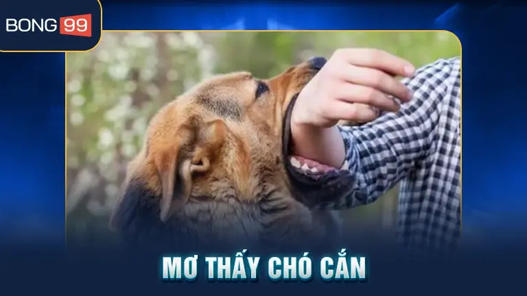 Mơ thấy chó cắn