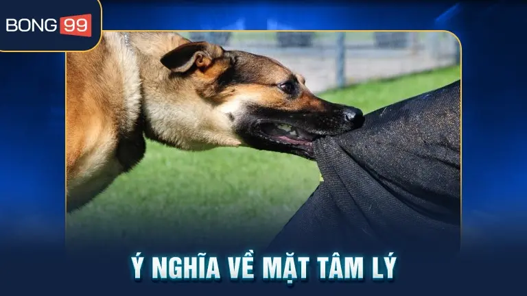 Ý nghĩa tâm lý giấc mơ chó cắn