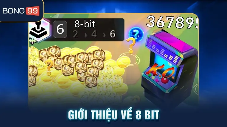 Giới thiệu về 8 Bit